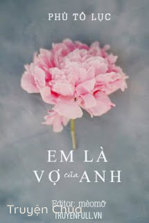 Em Là Vợ Của Anh
