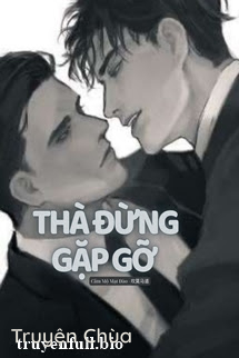 Thà Đừng Gặp Gỡ (Đam Mỹ)